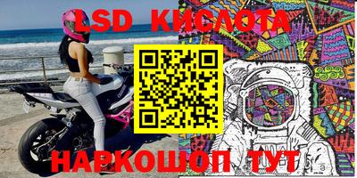 крисы Новозыбков