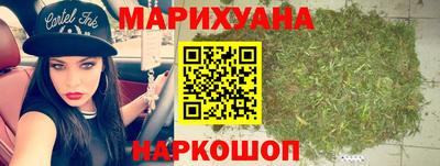 крисы Новозыбков