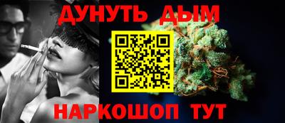 крисы Новозыбков