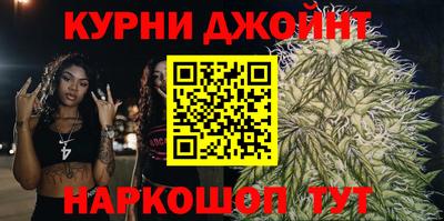крисы Новозыбков