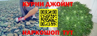 крисы Новозыбков