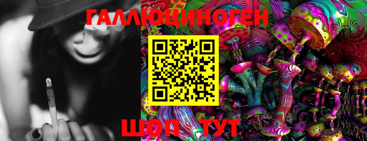 Вологда  Галлюциногенные грибы мухоморы  Вход с VPN 