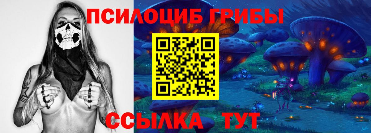 Галлюциногенные грибы ЛСД Вологда